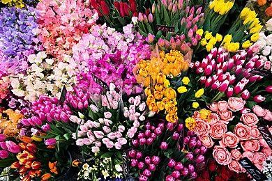 上帝模拟游戏《造物主2》现已在Steam平台正式推出 收获特别好评